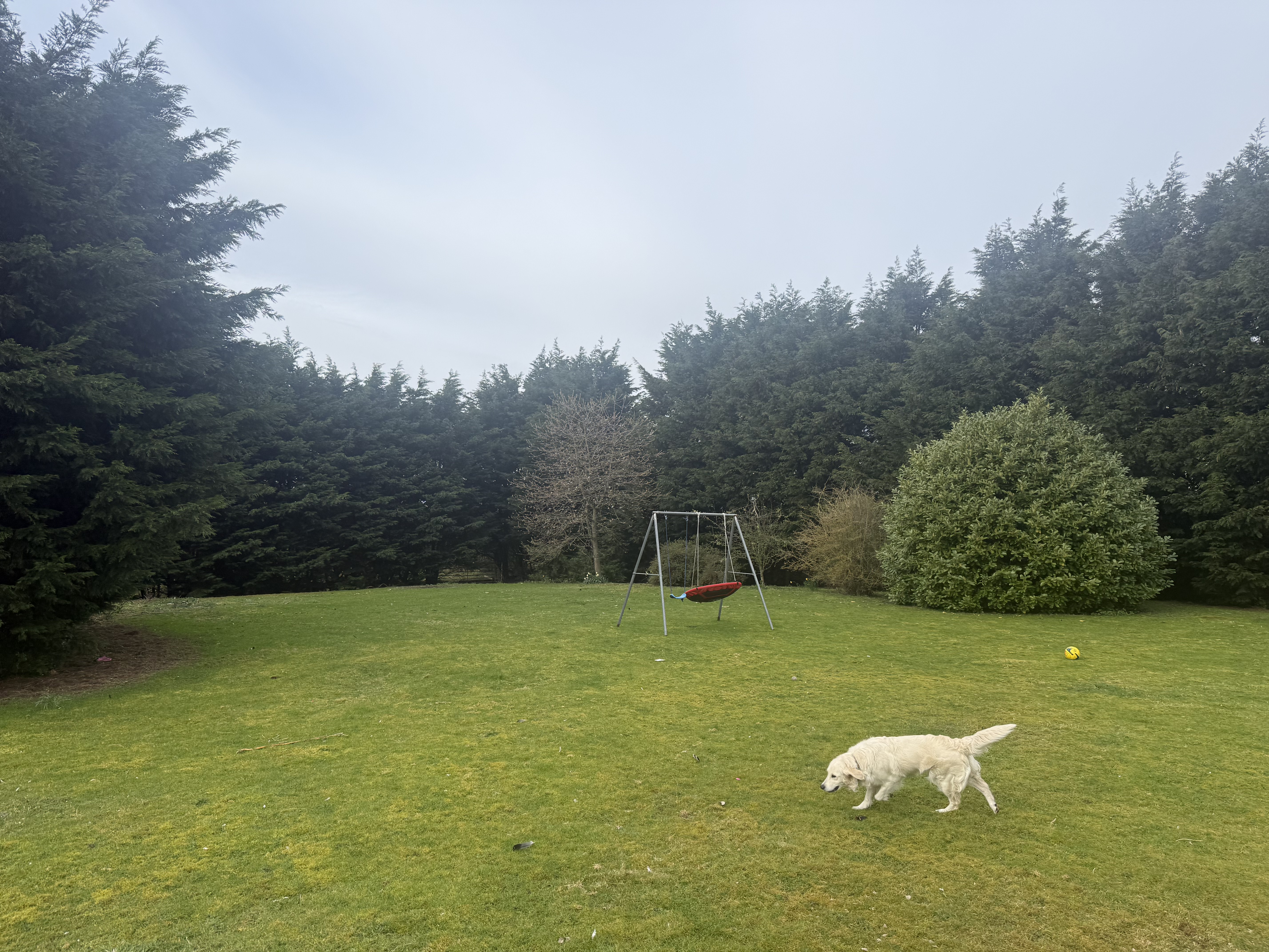 Wide view of the new Wild at Heart home