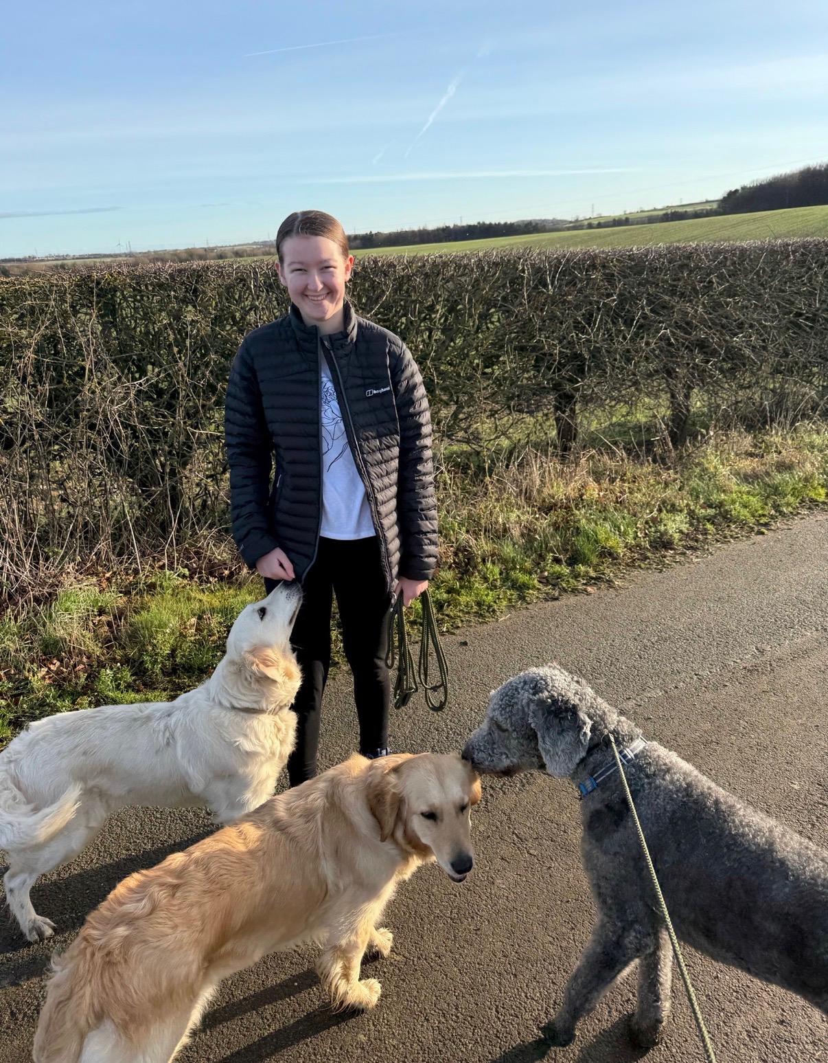 Katie, our canine assistant and aspiring vet