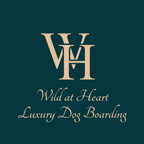 Wild at Heart Luxury Dog Boarding